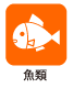 魚類